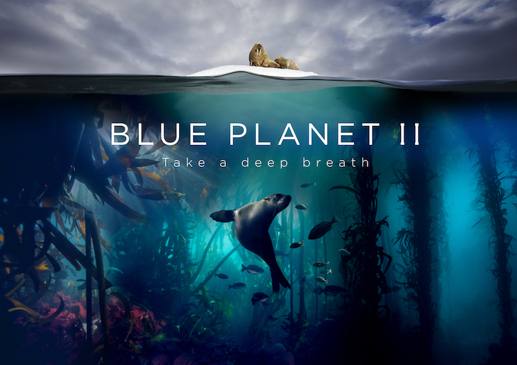 Blue Planet